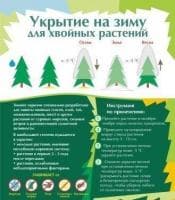 Укрытие зимнее для хвойных, 110*90 см, белое, без рисунка фото
