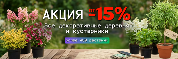 декор от -15% декор от -15%