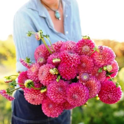 Георгина Джоуи Фрамбо Георгина Джоуи Фрамбо фото