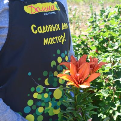 Лилия Игл Ай - Dolina-Sad.Ru