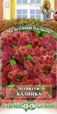 Агератум Калинка* "Чудесный балкон" Агератум Калинка* "Чудесный балкон" фото