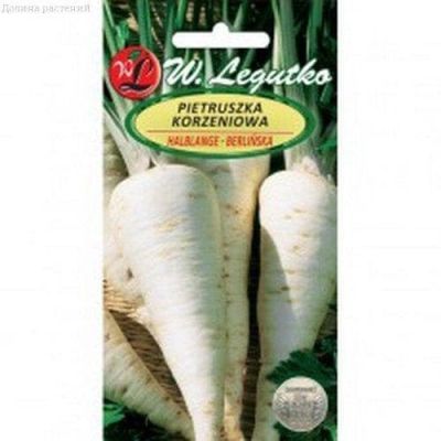 Петрушка корневая Берлинская (Польша) Петрушка корневая Берлинская (Польша) фото