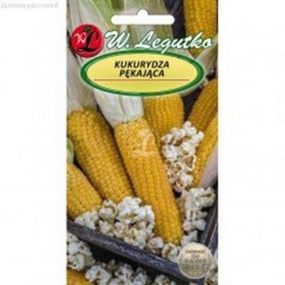 Кукуруза Пламя (Польша) Кукуруза Пламя (Польша) фото