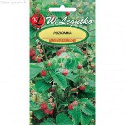 Земляника Барон фон Солемахер (Польша) Земляника Барон фон Солемахер (Польша) фото