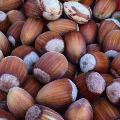 Фундук Екатерина Фундук Екатерина - Dolina-Sad.Ru