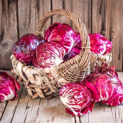 Капуста Краснокочанная Капуста Краснокочанная фото